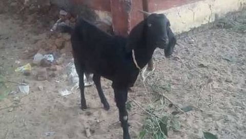 ಸಾಂದರ್ಭಿಕ ಚಿತ್ರ