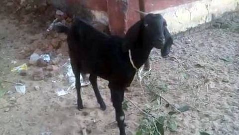 ಸಾಂದರ್ಭಿಕ ಚಿತ್ರ