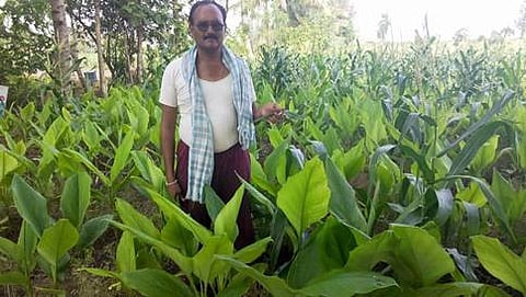 ಧರೆಪ್ಪ ಕಿತ್ತೂರ