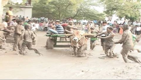 ಸಾಂದರ್ಭಿಕ ಚಿತ್ರ