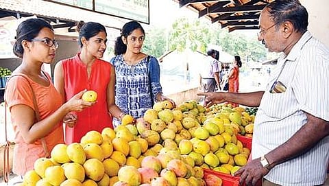 ಮಂಗಳೂರಿನಲ್ಲಿ ಆಯೋಜಿಸಲಾಗಿರುವ ಮಾವು ಮೇಳದಲ್ಲಿ ಮಾವು ಖರೀದಿಸುತ್ತಿರುವ ಗ್ರಾಹಕರು