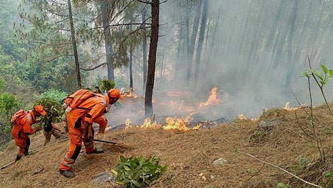 ಉ.ಖಂಡ ಕಾಡ್ಗಿಚ್ಚು ಮತ್ತು ಮಳೆ (ಸಂಗ್ರಹ ಚಿತ್ರ)