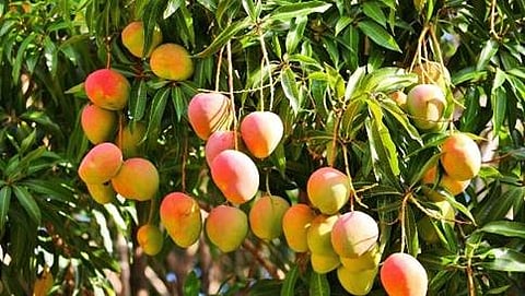 ಸಾಂದರ್ಭಿಕ ಚಿತ್ರ