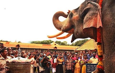 ರಾಮಾಯಣ ತಿಂಗಳ ಹಿನ್ನೆಲೆಯಲ್ಲಿ ಕೇರಳದ ವಡಕ್ಕೂಮ್ನಾತನ್ ದೇವಸ್ಥಾನದಲ್ಲಿ ನಡೆದ ಆನೆಗಳ ಉತ್ಸವದಲ್ಲಿ 52 ಆನೆಗಳು ಭಾಗಿಯಾಗಿದ್ದವು. ಉತ್ಸವದಲ್ಲಿ ನೂರಾರು ಭಕ್ತರು ಭಾಗಿಯಾಗಿದ್ದು, ಆನೆಗಳಿಗೆ ಹಣ್ಣು ಹಂಪಲ್ಲುಗಳನ್ನು ನೀಡಿ ಸಂಭ್ರಮಿಸಿದರು. 