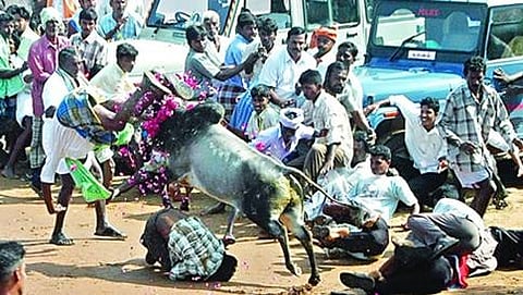 ಸಾಂದರ್ಭಿಕ ಚಿತ್ರ