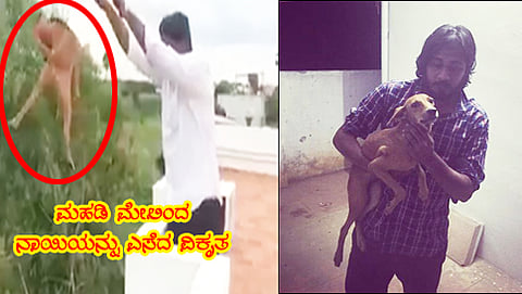 ನಾಯಿ ಎಸೆದ ಸುದರ್ಶನ್ ಮತ್ತು ಬದುಕುಳಿದ ನಾಯಿ (ಚಿತ್ರಕೃಪೆ: ಟ್ವಿಟರ್, ಫೇಸ್ ಬುಕ್)