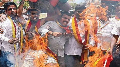 ಮೈಸೂರು ಬ್ಯಾಂಕ್ ವೃತ್ತದಲ್ಲಿ ಕನ್ನಡ ಪರ ಸಂಘಟನೆಗಳು ಮುಖ್ಯಮಂತ್ರಿ ಸಿದ್ದರಾಮಯ್ಯ ಅವರ ಭಾವಚಿತ್ರಕ್ಕೆ ಬೆಂಕಿ ಹಚ್ಚಿ ಆಕ್ರೋಶ ವ್ಯಕ್ತಪಡಿಸುತ್ತಿರುವುದು
