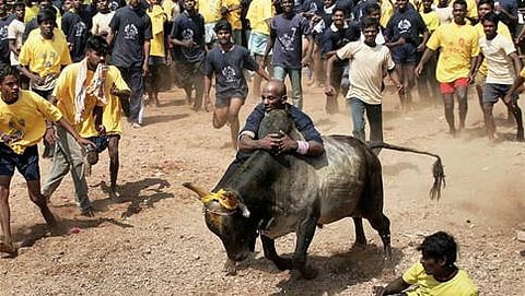 ಸಾಂದರ್ಭಿಕ ಚಿತ್ರ