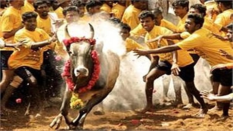 ಜಲ್ಲಿಕಟ್ಟು
