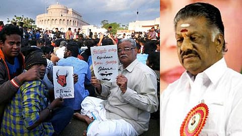 ಮರೀನಾ ಬೀಚ್ ನಲ್ಲಿ ಪ್ರತಿಭಟನೆ ಮತ್ತು ಸಿಎಂ ಪನ್ನೀರ್ ಸೆಲ್ವಂ