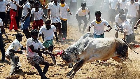 ಸಾಂದರ್ಭಿಕ ಚಿತ್ರ