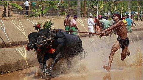 ಸಾಂದರ್ಭಿಕ ಚಿತ್ರ
