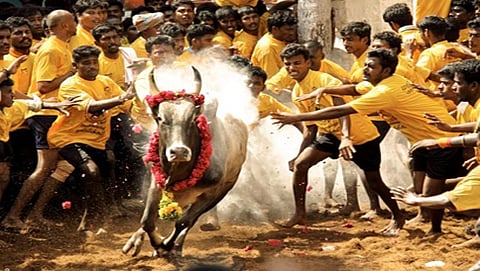 ಸಂಗ್ರಹ ಚಿತ್ರ