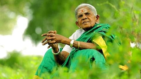 ಸಾಲು ಮರದ ತಿಮ್ಮಕ್ಕ