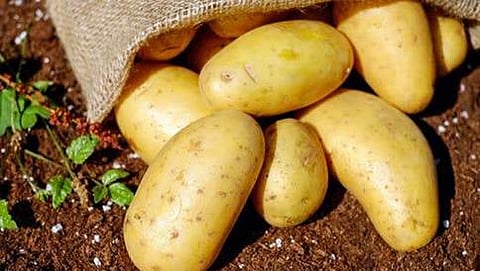 ಸಾಂದರ್ಭಿಕ ಚಿತ್ರ