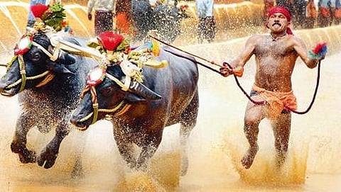 ಸಾಂದರ್ಭಿಕ ಚಿತ್ರ