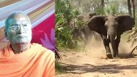 ಮಹಾರಾಷ್ಟ್ರ: ಜೈನ ಮಠದಲ್ಲಿ ಆನೆ ದಾಳಿ, ಸ್ವಾಮೀಜಿ ದುರಂತ ಸಾವು