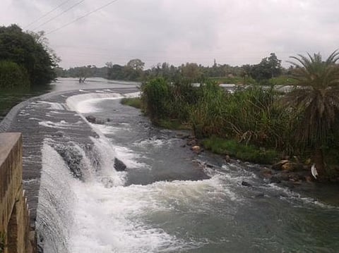 ಬಲಮುರಿ ಫಾಲ್ಸ್