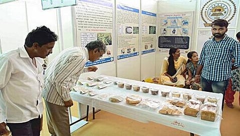 ಸಾಂದರ್ಭಿಕ ಚಿತ್ರ