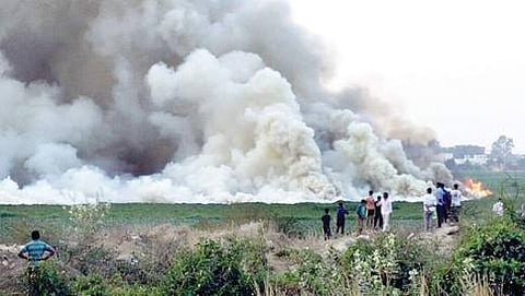 ಬೆಳ್ಳಂದರೂ ಕೆರೆಯಲ್ಲಿ ದಟ್ಟ ಹೊಗೆ