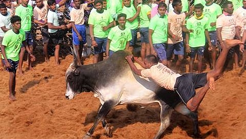 ಸಾಂದರ್ಭಿಕ ಚಿತ್ರ