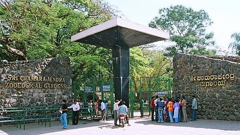 ಮೈಸೂರಿನ ಶ್ರೀ ಜಯಚಾಮರಾಜೇಂದ್ರ ಮೃಗಾಯಲಯ