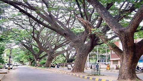 ಜಯಮಹಲ್ ರಸ್ತೆ