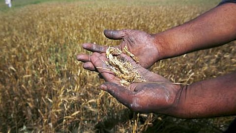 ಸಾಂದರ್ಭಿಕ ಚಿತ್ರ