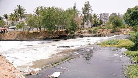 ಸಂಗ್ರಹ ಚಿತ್ರ