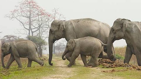 ಸಾಂದರ್ಭಿಕ ಚಿತ್ರ