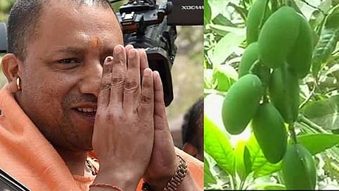 ಸಂಗ್ರಹ ಚಿತ್ರ