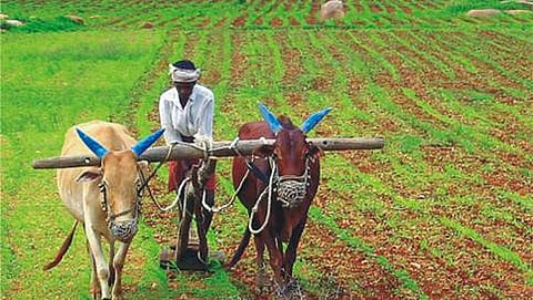 ಸಾಂದರ್ಭಿಕ ಚಿತ್ರ