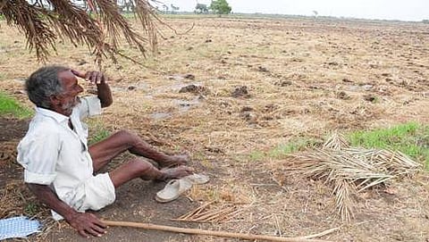 drought hit