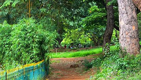 ಸಾಂದರ್ಭಿಕ ಚಿತ್ರ