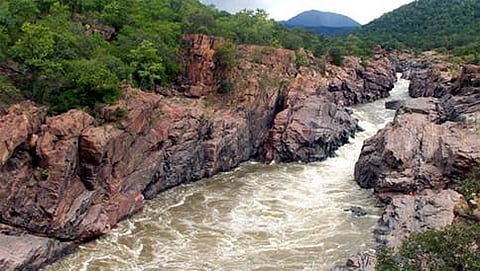 ಮೇಕೆದಾಟು(ಸಂಗ್ರಹಚಿತ್ರ)