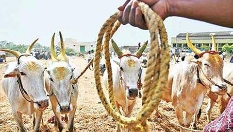 ಸಾಂದರ್ಭಿಕ ಚಿತ್ರ
