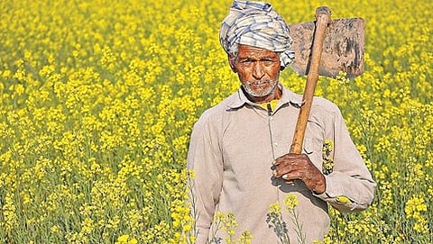 ಸಾಂದರ್ಭಿಕ ಚಿತ್ರ