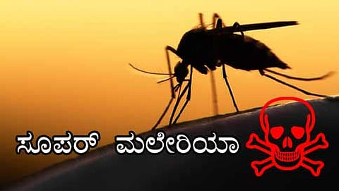 ಸಂಗ್ರಹ ಚಿತ್ರ