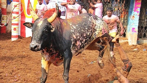 ಸಾಂದರ್ಭಿಕ ಚಿತ್ರ
