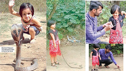 ಹಾವಿನೊಂದಿಗೆ ಬಾಲಕಿ ಆಕರ್ಷ