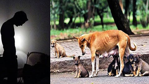 ಸಾಂದರ್ಭಿಕ ಚಿತ್ರ