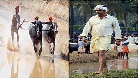 ವಿನು ವಿಶ್ವನಾಥ ಶೆಟ್ಟಿ