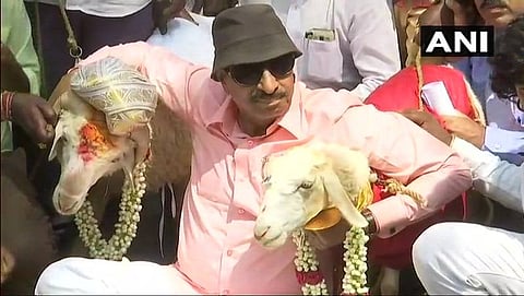 ಕನ್ನಡ ಪರ ಸಂಘಟನೆಯ ಅಧ್ಯಕ್ಷ ವಾಟಾಳ್ ನಾಗರಾಜ್