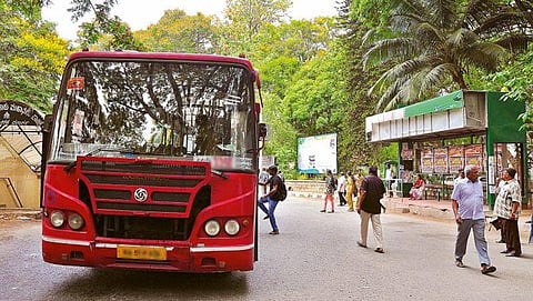 ಸಾಂದರ್ಭಿಕ ಚಿತ್ರ