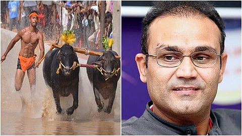 ಕಂಬಳ-ವೀರೇಂದ್ರ ಸೆಹ್ವಾಗ್