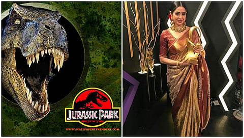 ಸಂಗ್ರಹ ಚಿತ್ರ