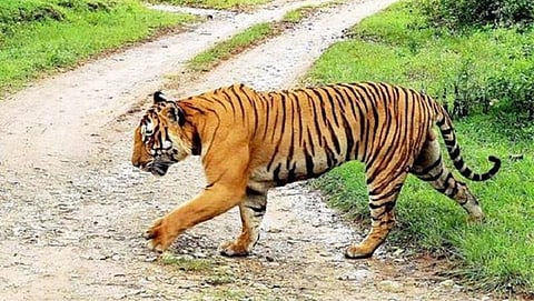 ಸಂಗ್ರಹ ಚಿತ್ರ