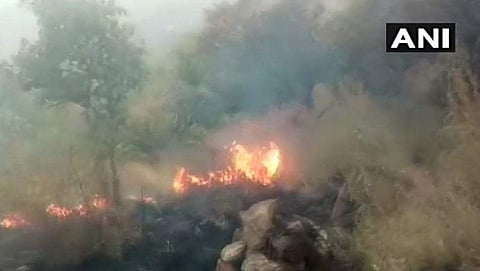 ಥೇಣಿ ಕಾಡ್ಗಿಚ್ಚು