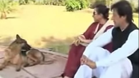 ಸಂಗ್ರಹ ಚಿತ್ರ