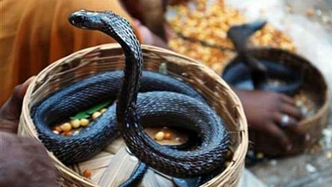 ಸಂಗ್ರಹ ಚಿತ್ರ